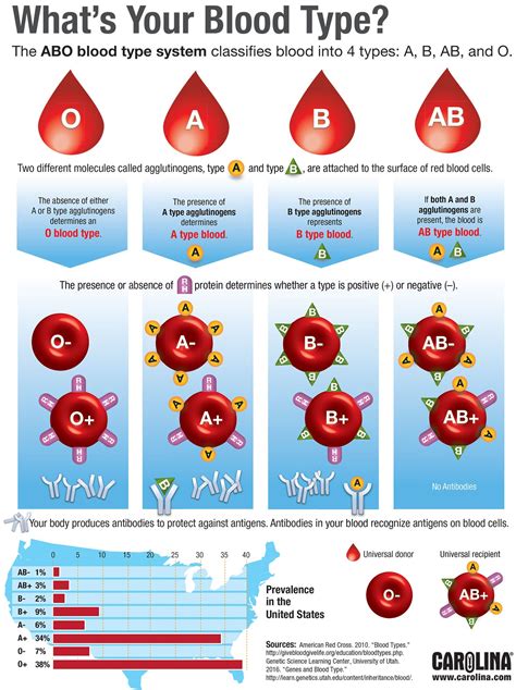 where to check blood type